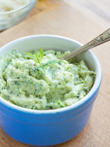 Raw Zucchini & Mint Pesto Sauce