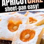 Sheet-pan fresh apricot cake.
