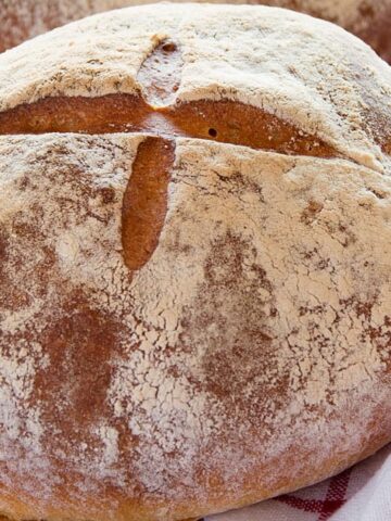Pagnotta -Italian Round Country Bread