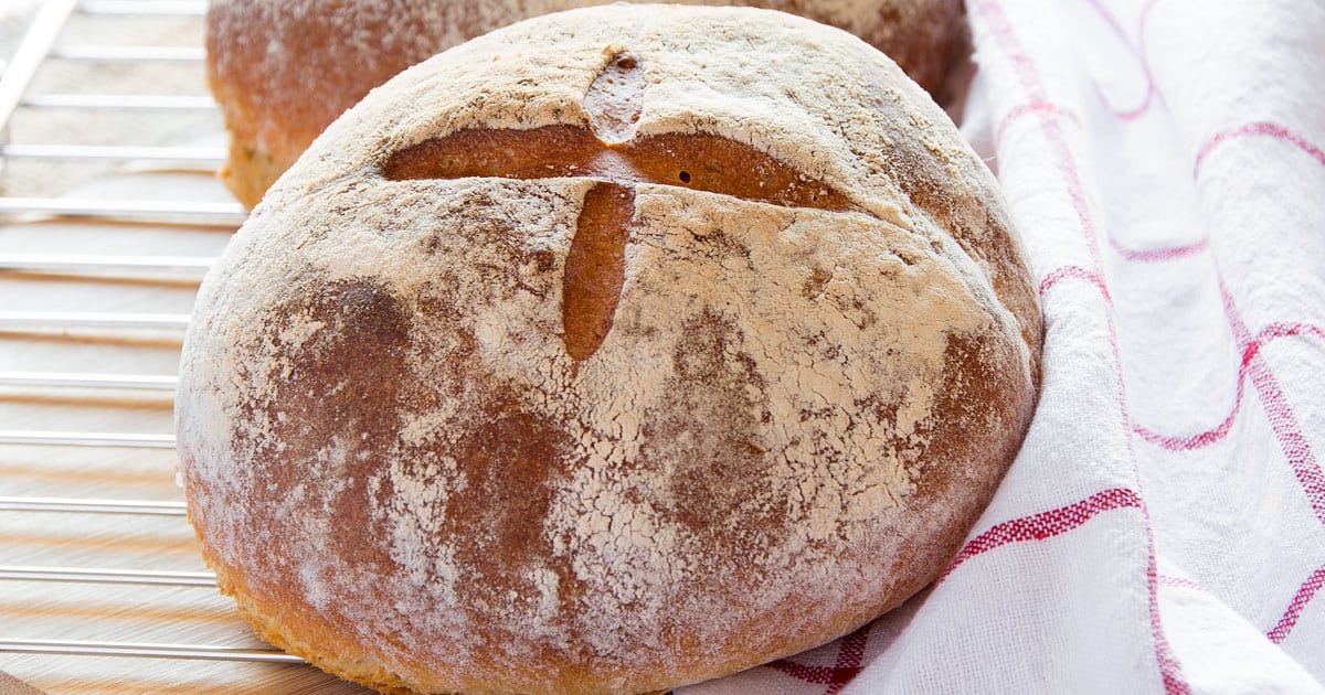 Ciambella – Grandmother's Pastry Ring – Pomodori e Vino