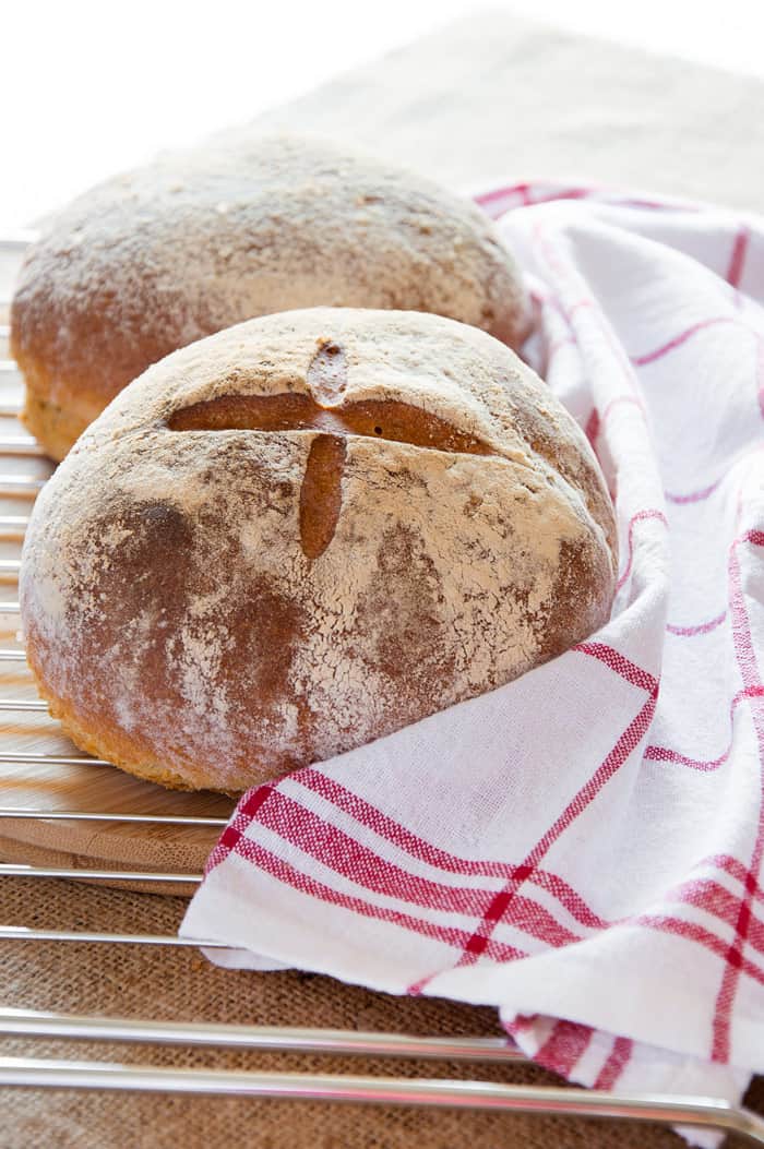 Pagnotta Italian Round Country Bread Italian Recipe Book