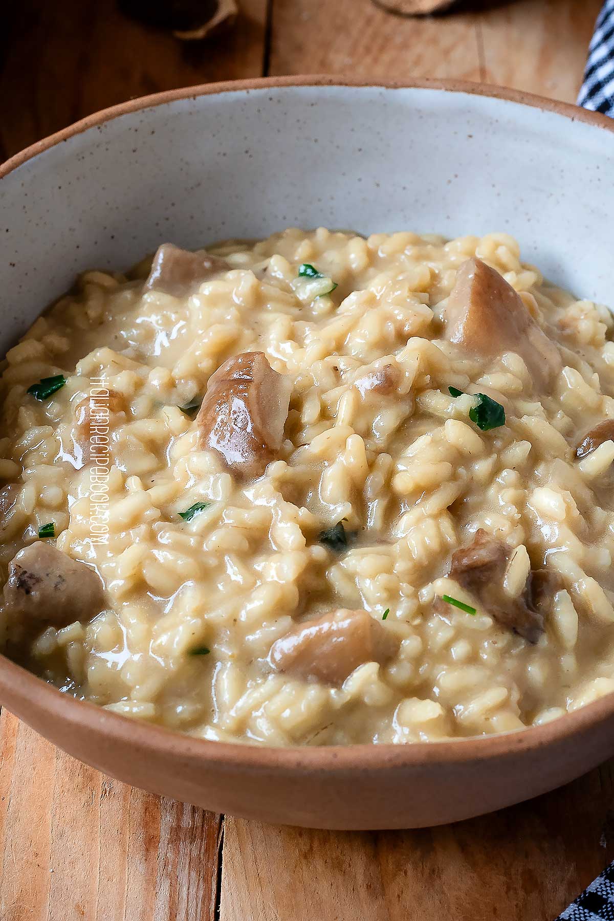 Mushroom risotto in a bowl with visible pieces of porcini mushrooms.