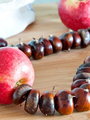 Italian "Halloween" Chestnut Necklace