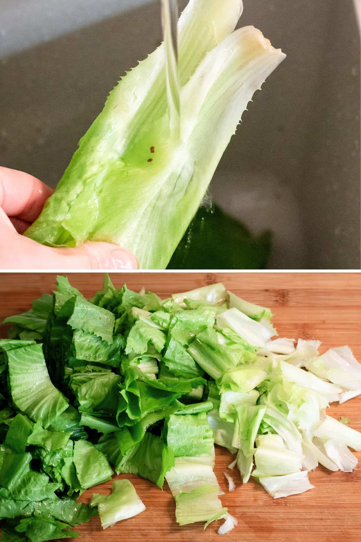 Washing and chopping escarole.