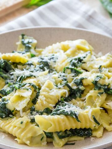 Garganelli Pasta WithCreamy Spinach Sauce {Recipe}