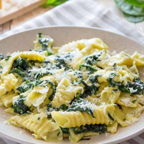 Garganelli With Creamy Spinach Sauce Italian Recipe Book