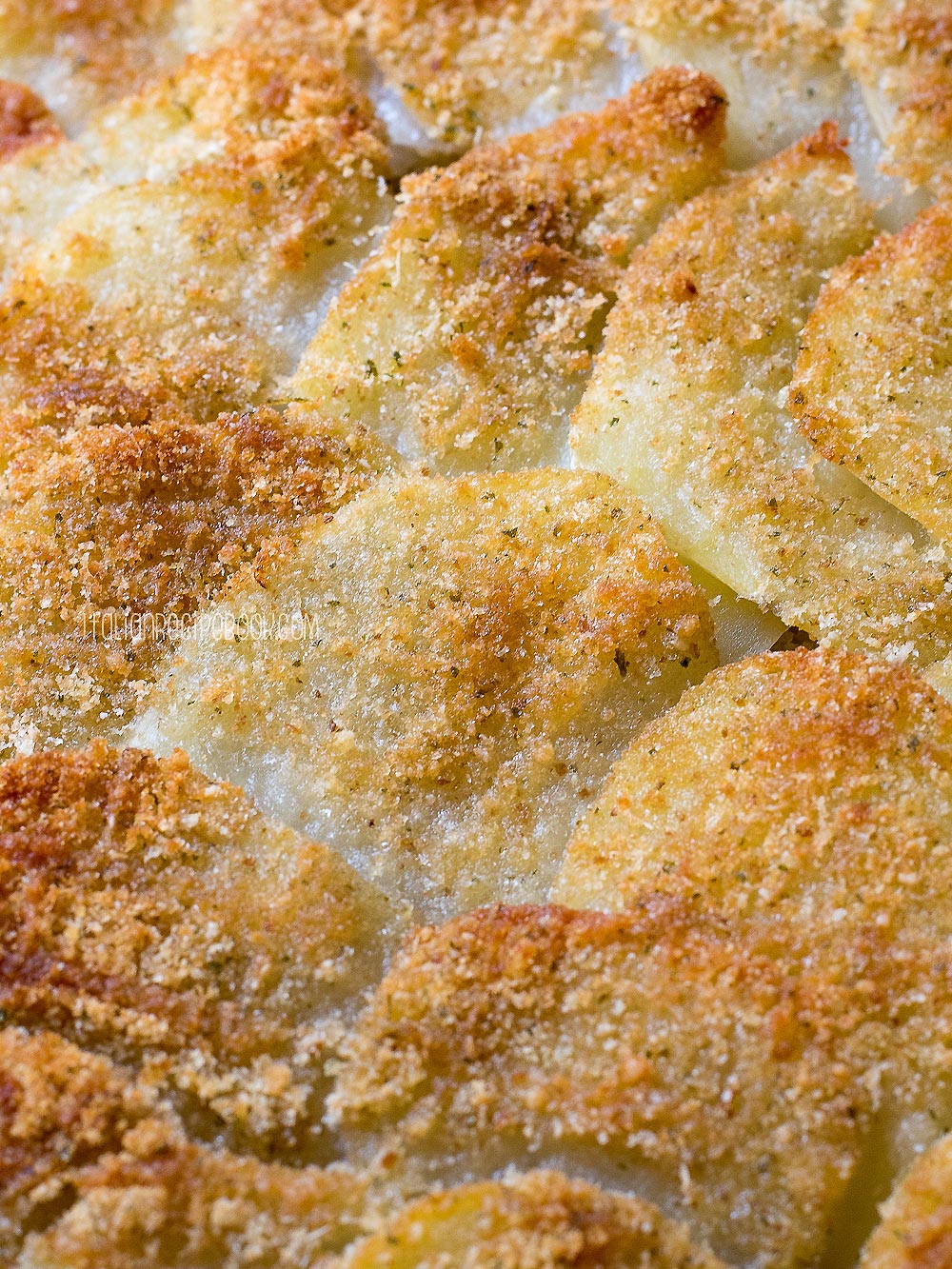 close up scalloped potatoes