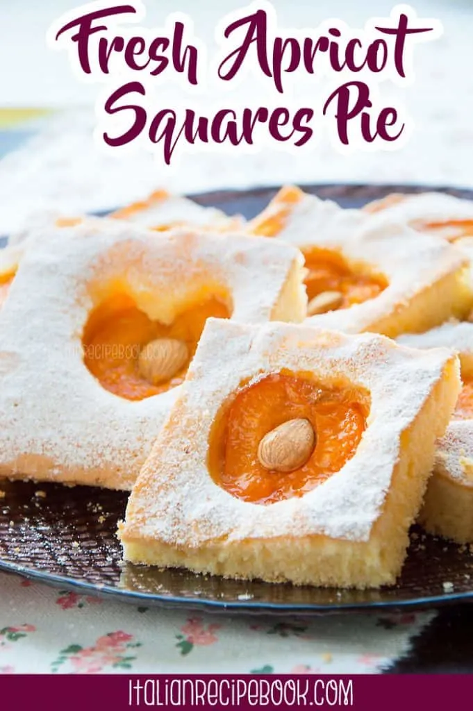 Fresh Apricot Squares Pie {Melts in the mouth!!}