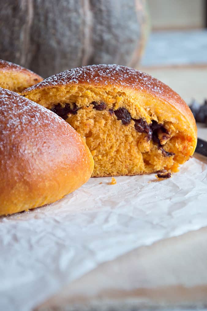 Pumpkin Chocolate Chip Bread Inside Close Up