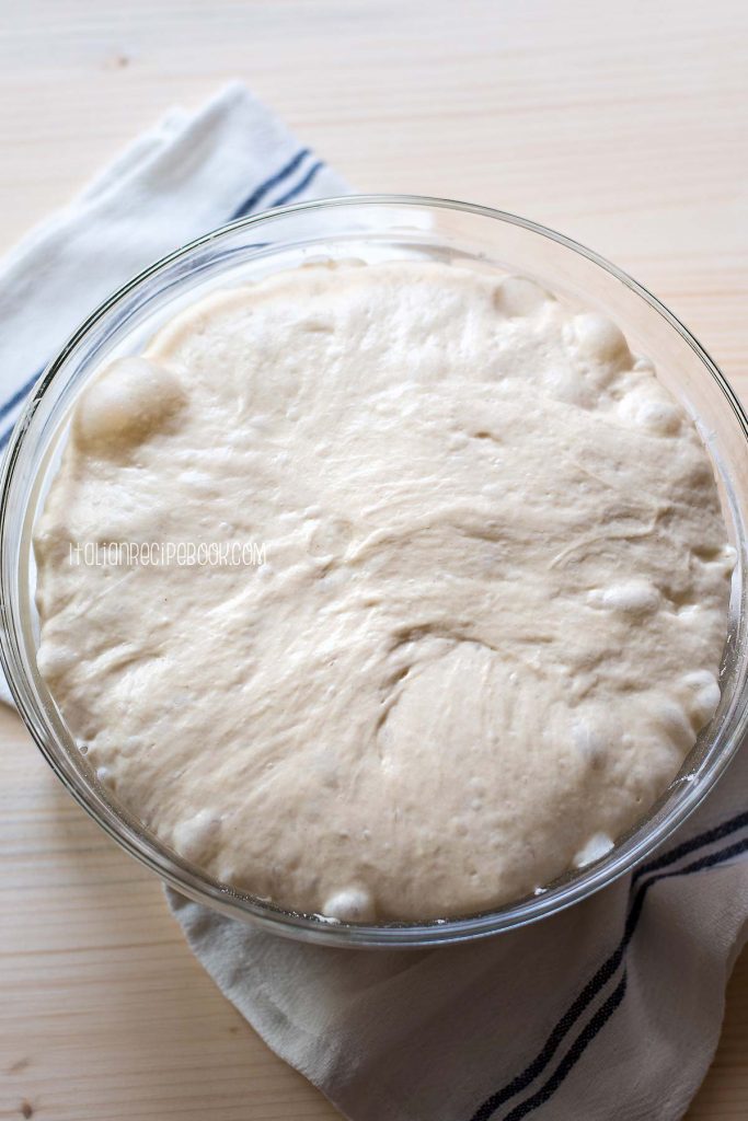 ciabatta dough - 4th rise