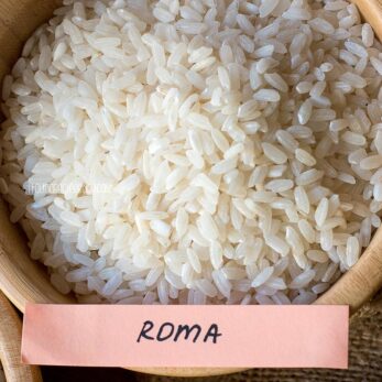 The Best Rice For Risotto & Its Great Alternatives : Italian Recipe Book