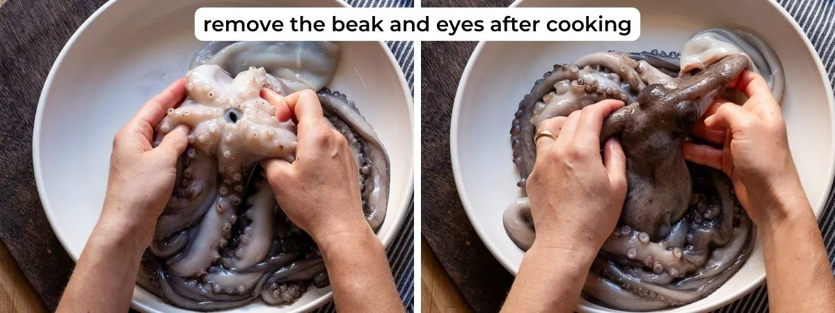 Melt-in-the-mouth Octopus Salad - Italian Recipe Book