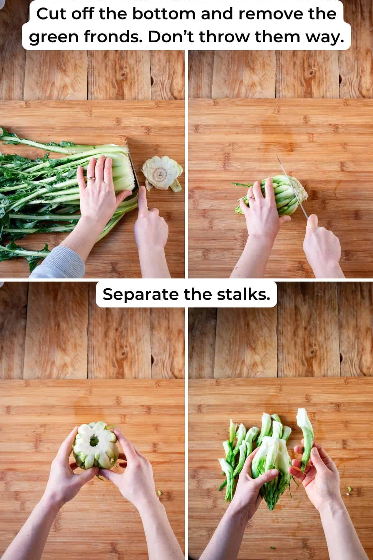 Trimming puntarelle head and separating the stalks.