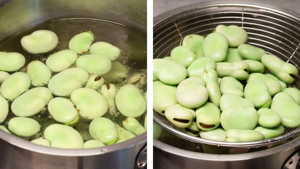 Fava beans in a pot with hot water.
