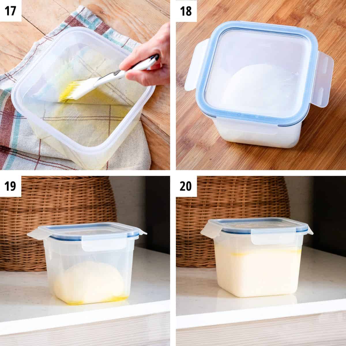 Greasing a plastic container and setting the dough inside until double in size.