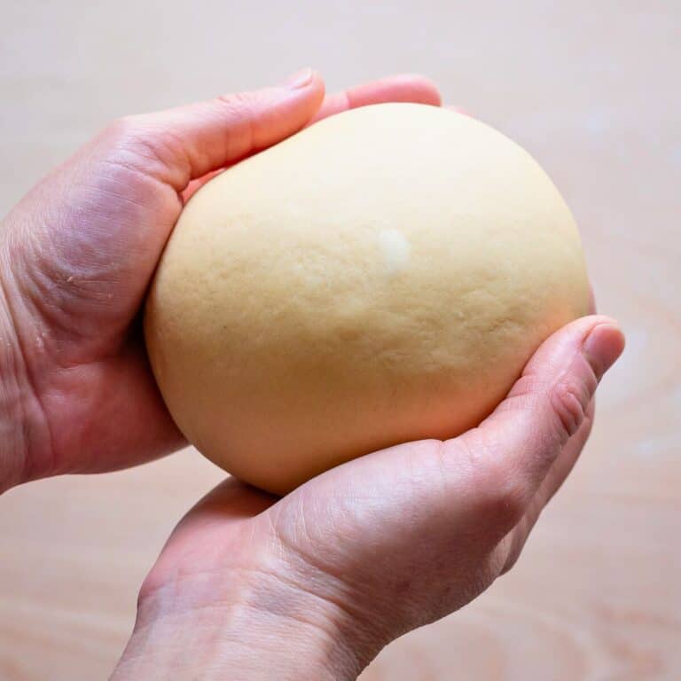 View of Egg Pasta Dough (Perfect Every Time!) : Italian Recipe Book