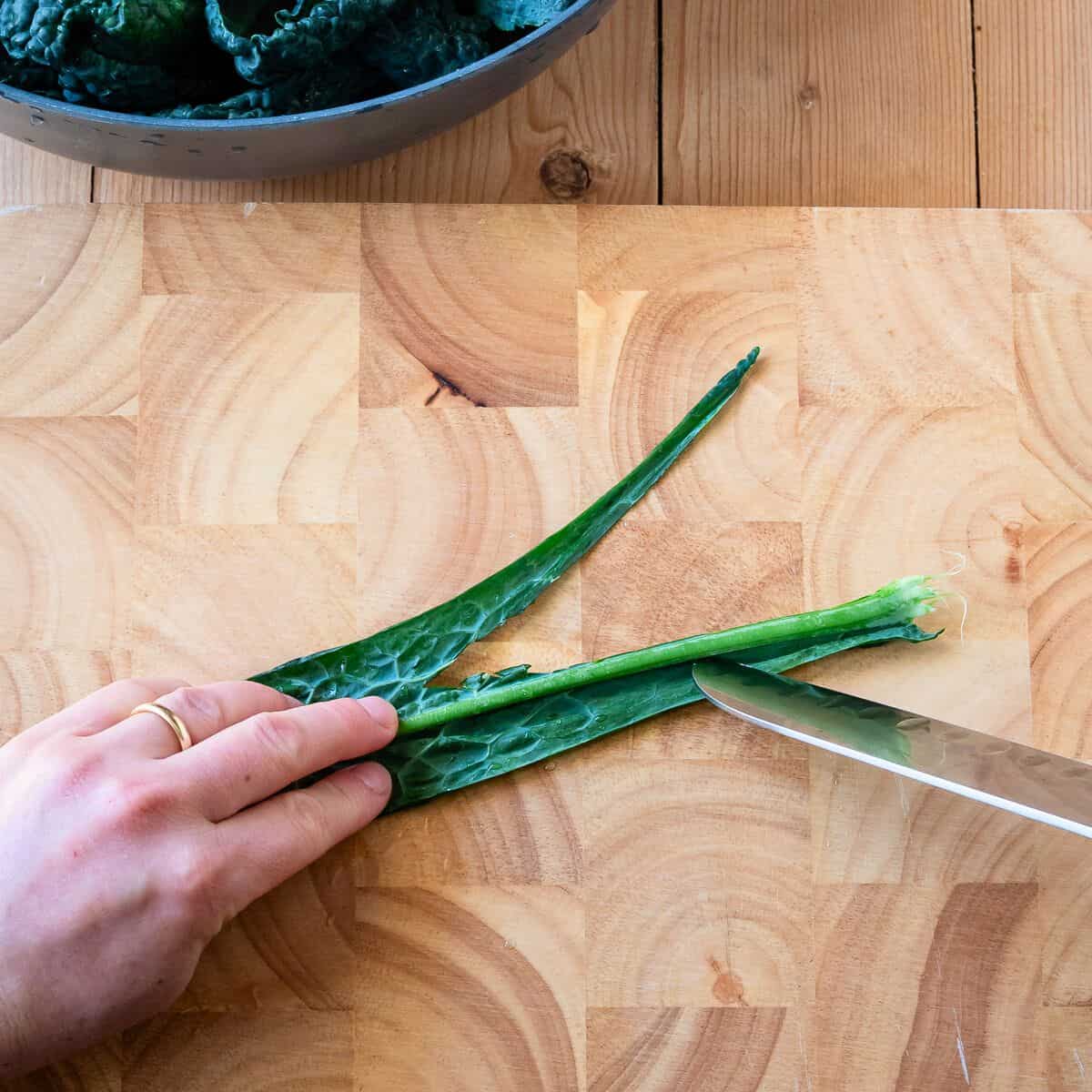 Making incision cut on a leaf of kale.