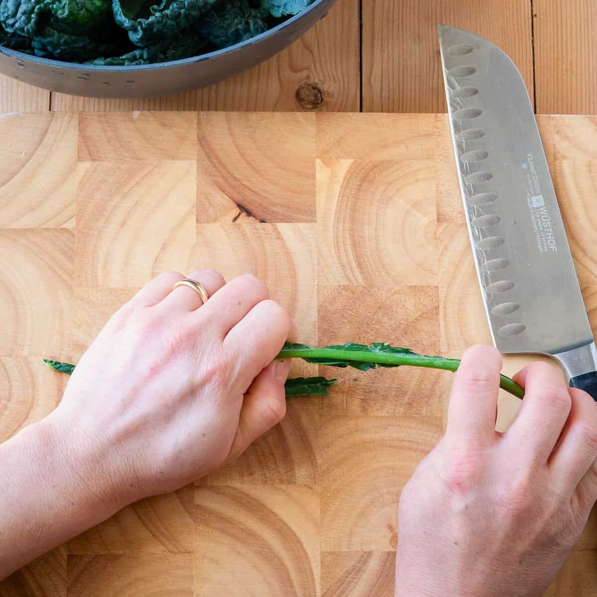 Separating green leaf of kale from the stem.