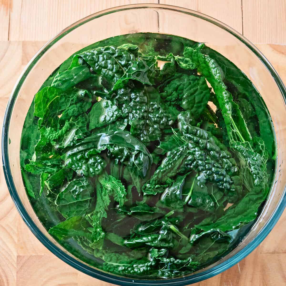 Blanched kale in a bowl with ice water.